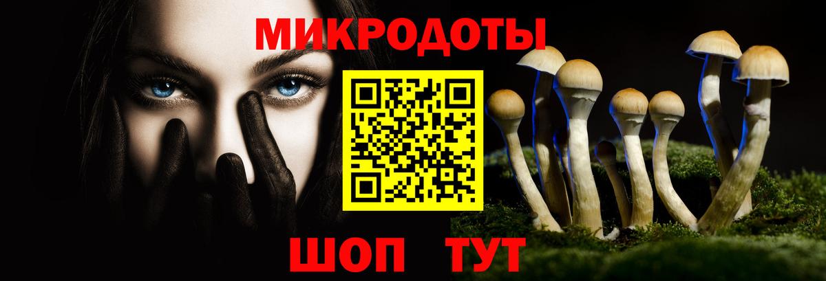 Сыктывкар  Псилоцибиновые грибы мицелий  Вход с VPN  Псилоцибиновые грибы мухоморы 